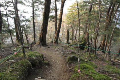 雲取山から北に降る道は急勾配。