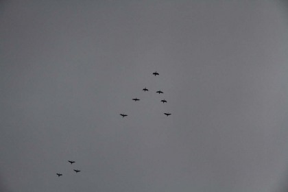 雁の群れが北に飛んで行きました。