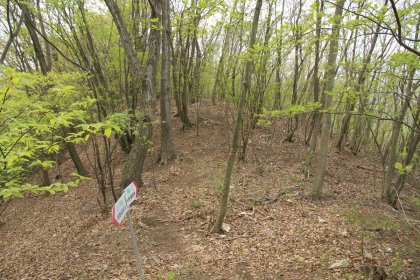 高畑山から雛鶴峠に下る道は、かなりきつい降りです。