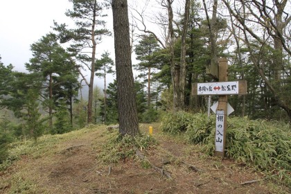 棚の入山。三叉路となっていて、赤鞍ヶ岳への道を取ります。