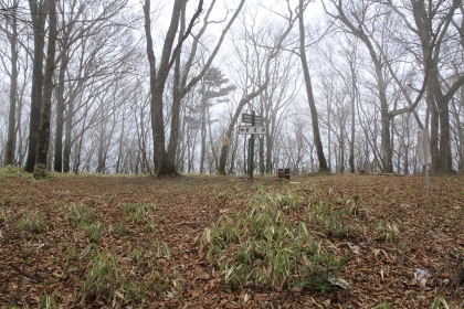 赤鞍ヶ岳の山頂。棚の入山から赤鞍ヶ岳、菜畑山までの道は踏み跡と言えそうな箇所があります。