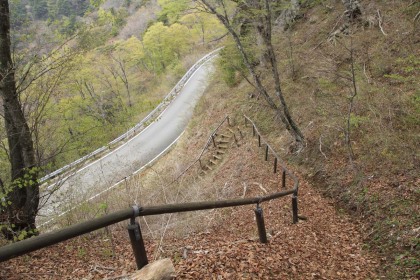 二十六夜山に向かって下って行くと、地図にない舗装林道が現れました。