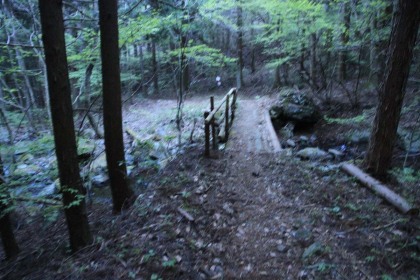 かろうじて、残照のある内に登山道を抜けられました。