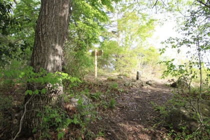 御前山の山頂。北に視界が開けています。