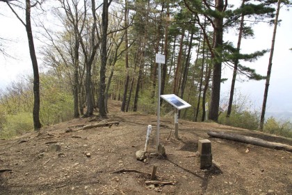 倉岳山の山頂。