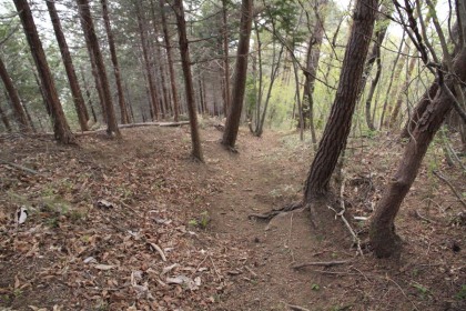 九鬼山からの降り道は驚くほどの急坂でした。