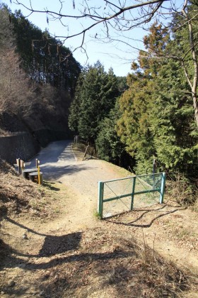 入山峠。舗装林道を横切りました。