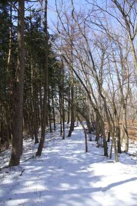 浅間峠に降る道は厚い雪で覆われていました。