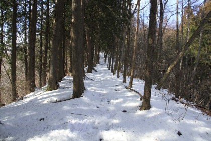 雪で覆われた稜線の道。