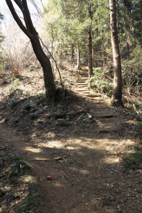 巻き道と小ピークをいくつも越える道の分岐。泰光寺山などピークを巻く道がいくつか借ります。