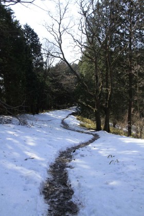 景信山から陣馬山まで、標高が高く、樹林で日陰が多くできるので、雪道の区間が多くあります。