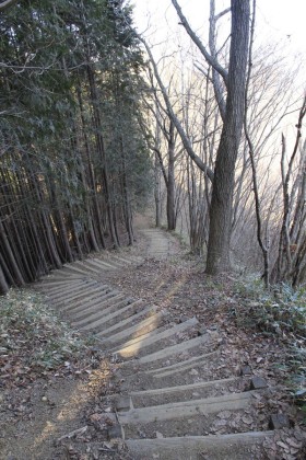 和田峠への降り道。