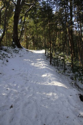 日影沢から高尾山までの道は雪で覆われていました。