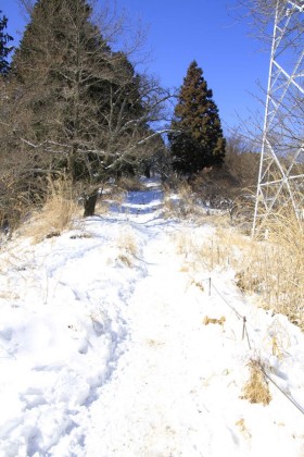 高尾山から奥高尾に入ると雪も深くなりました。