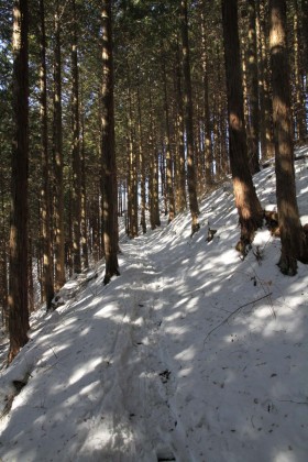 底沢峠への道も雪の道。