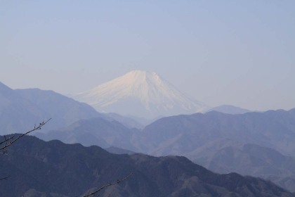 高尾山から見た富士山。
