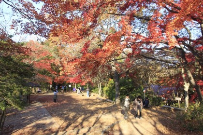 高尾山の山頂の紅葉。