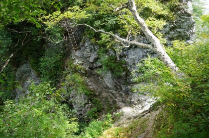 岩場のハシゴ場とロープ。危険性は低いものの、登っては下る稜線の岩場の道が蓮華岳の中腹まで続きます。