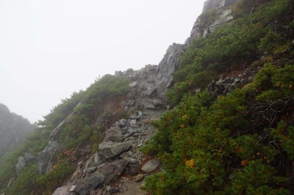 針ノ木岳からスバリ岳にかけての岩場の道。小さな岩峰を登っては下る道です。