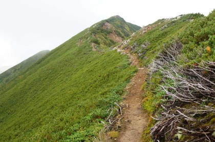 岩小屋沢の稜線。新越山荘から種池山荘までは厳しい勾配の道はありませんでした。