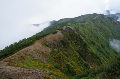 右端の上に種池山荘が見えます。稜線歩きならすぐの距離ですが、道は左の樹林の中を大きく巻いていました。おかげで斜面の登りは回避できたのですが、予想以上に時間がかかりました。