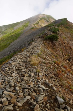 布引山から鹿島槍ヶ岳の稜線の登り道。