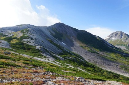 鉢ヶ岳を鞍部から見上げます。山頂に向かって踏み跡が見られましたが、途中で途切れているように見えました。