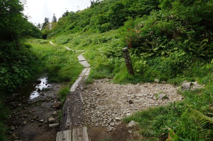 朝日岳の直登ルートとの分岐。