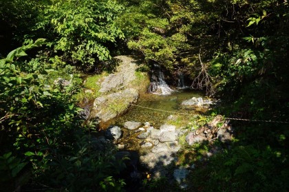 4回徒渉をする最初。大雨の後などで無ければ足下を濡らす心配のない沢渡が4回あります。