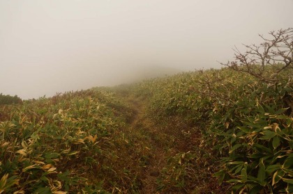 霧の中に浮かんで見える茂倉岳避難小屋。小屋が見えたときにはほっとしました。