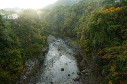 桂川を越えることには日が昇りました。川岸の樹木の紅葉が始まっています。