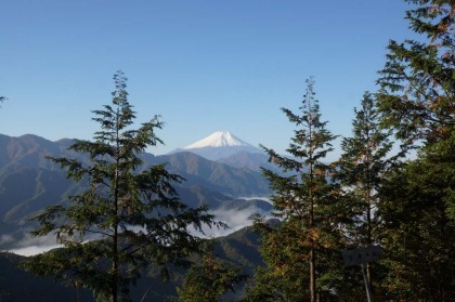 高畑山からは富士山や丹沢の山々が見られますが、手前の樹木が育っていて、視界を妨げていました。