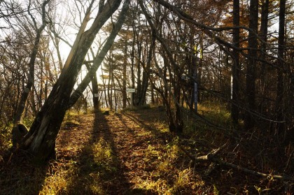 今倉山の山頂。樹林に覆われているので眺望はありません。