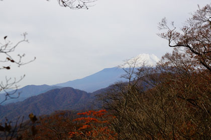 畦ヶ丸の山頂付近から、富士山を借景とした紅葉が見られました。