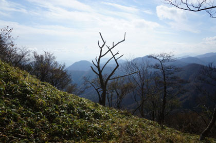 大室山の登り。笹に覆われた斜面からは、富士山を初め周辺の山が見られます。
