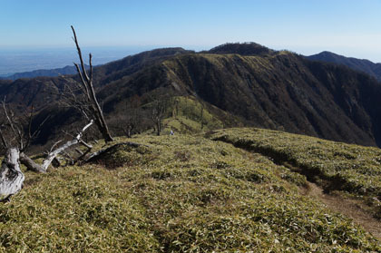 蛭ヶ岳から東に丹沢山に続く稜線が見られます。