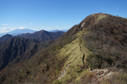 稜線の途中で蛭ヶ岳を振り返ると、肩に富士山が顔をのぞかせていました。
