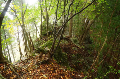 大峰山の東は登山道の雰囲気があり、岩の露出している箇所もあります。