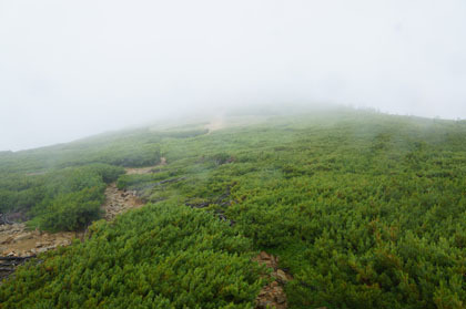 小蓮華山の北東側のひろやかな稜線。霧が深いと道を見失いそうです。