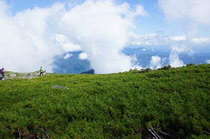 乗鞍岳の山頂。ハイマツに覆われたなだらかな頂です。