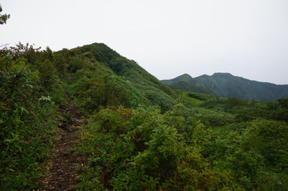 中俣新道の分岐を過ぎると尾根の上に出て、眺望が開けます。前に見える稜線はサワガニ山から犬ヶ岳です。