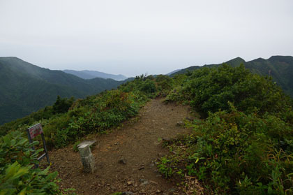 サワガニ山の頂。稜線状の突起ですが広い視界があります。