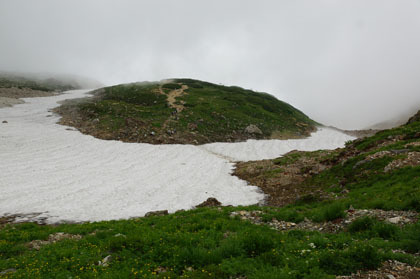 大出原の雪渓。この辺りにお花畑があります。多く見られる花は、この季節はチングルマとハクサンコザクラでした。