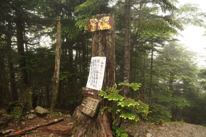 四合目、三合目と書かれた木の札が樹木に打ち付けられています。