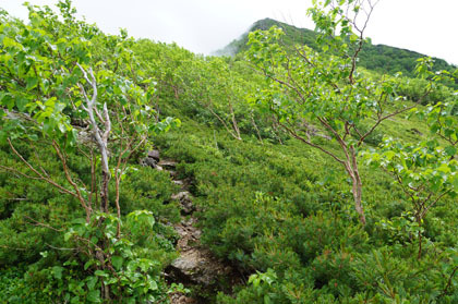 栗沢山の登り。