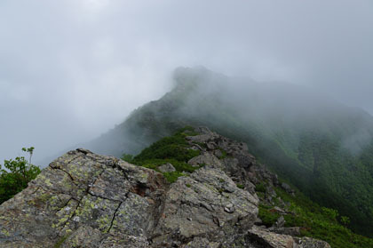 栗沢山から早川尾根を見たところ。