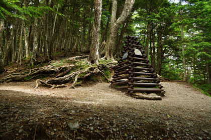 大崖頭山の稜線を越すところにケルンをもした木製の塔が立っていました。