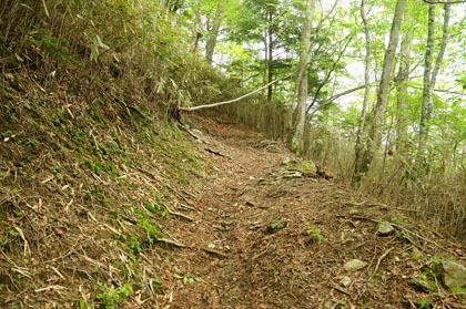 大菩薩連嶺まで緩やかな登りが続きます。