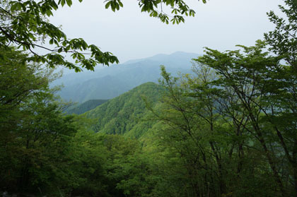 正面に、木立の間から三頭山が見えます。