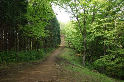 月夜見山に登る道。